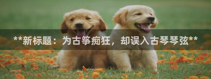 凯发a600丶cc官网首页:**新标题:为古筝痴狂,却误入古