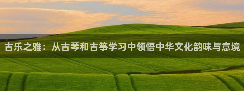 凯发官方网站下载:古乐之雅:从古琴和古筝学习中领悟中华文化韵